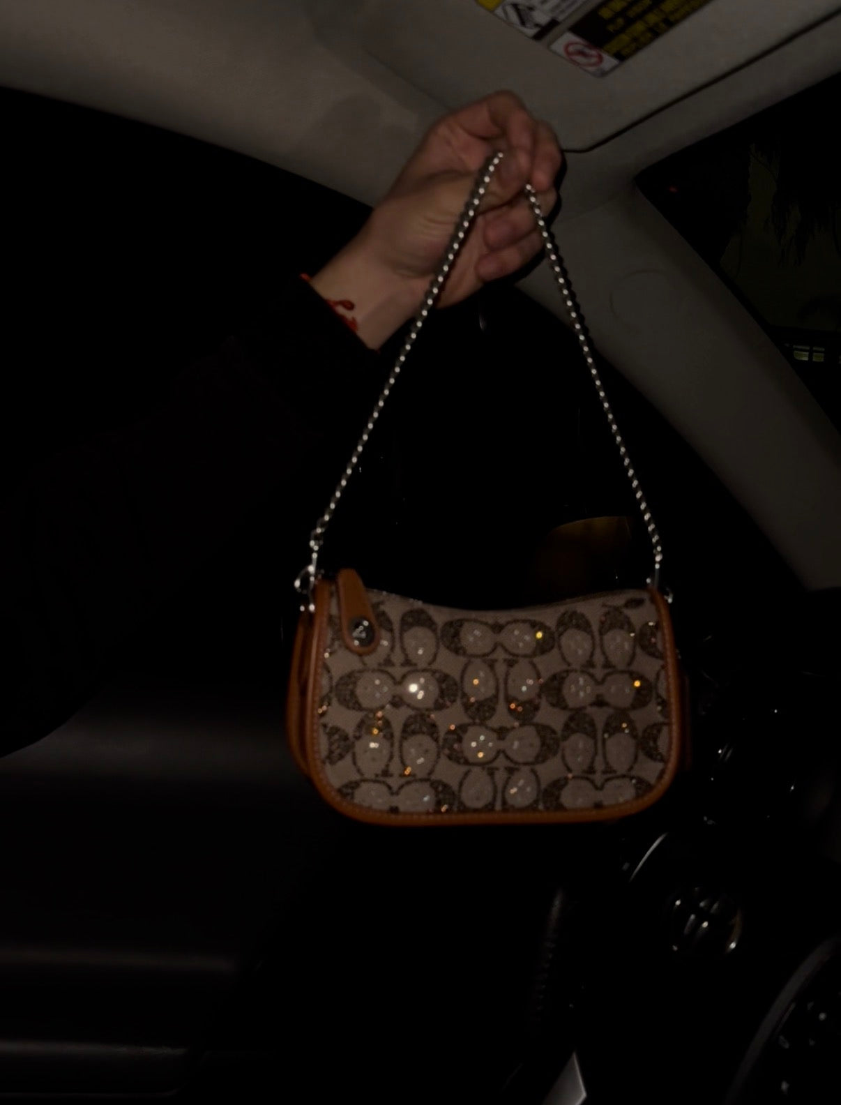Sparkly Bag (Brown)