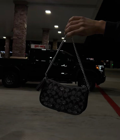 Cch Sparkly Bag